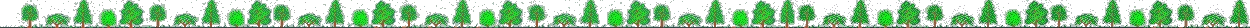 line of trees