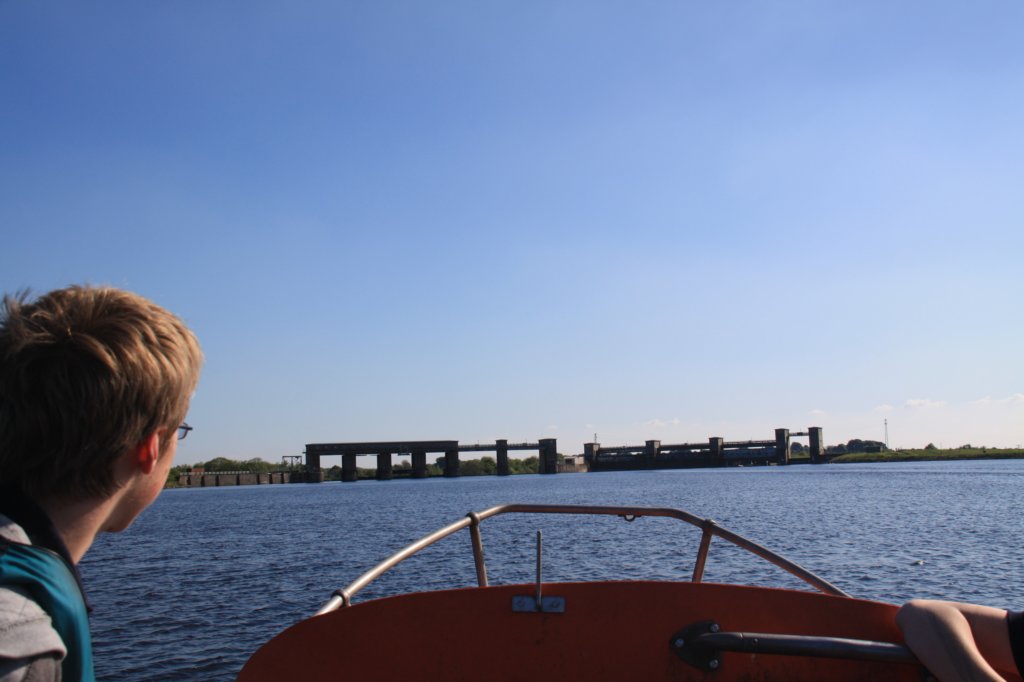 may2010421.jpg